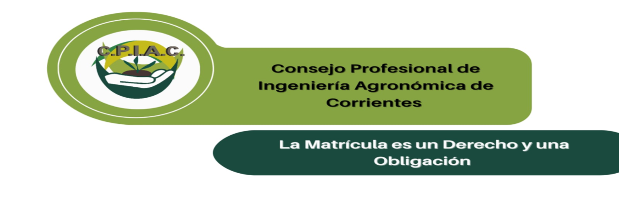Inicio-002