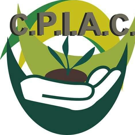 Consejo Profesional de Ingenieros Agrónomos de Corrientes